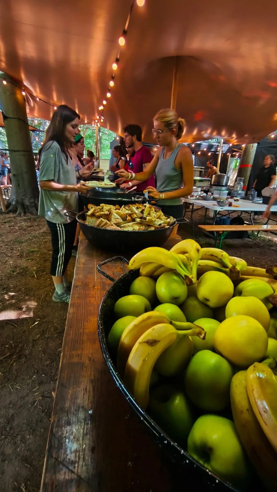 Buffet et fruits disposés sur une table au Pete the Monkey Festival
