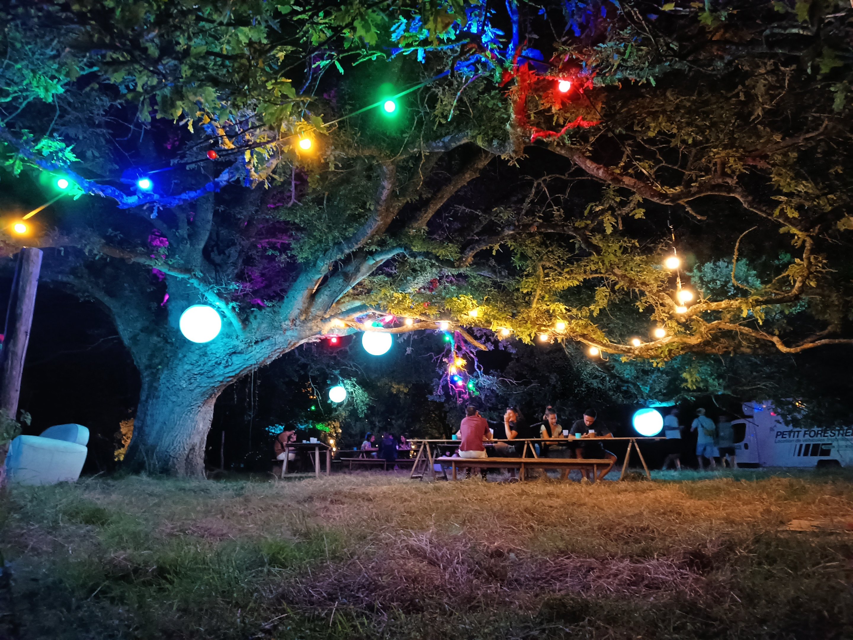 Grand arbre éclairé par des guirlandes et lumières colorées pendant un événement en soirée