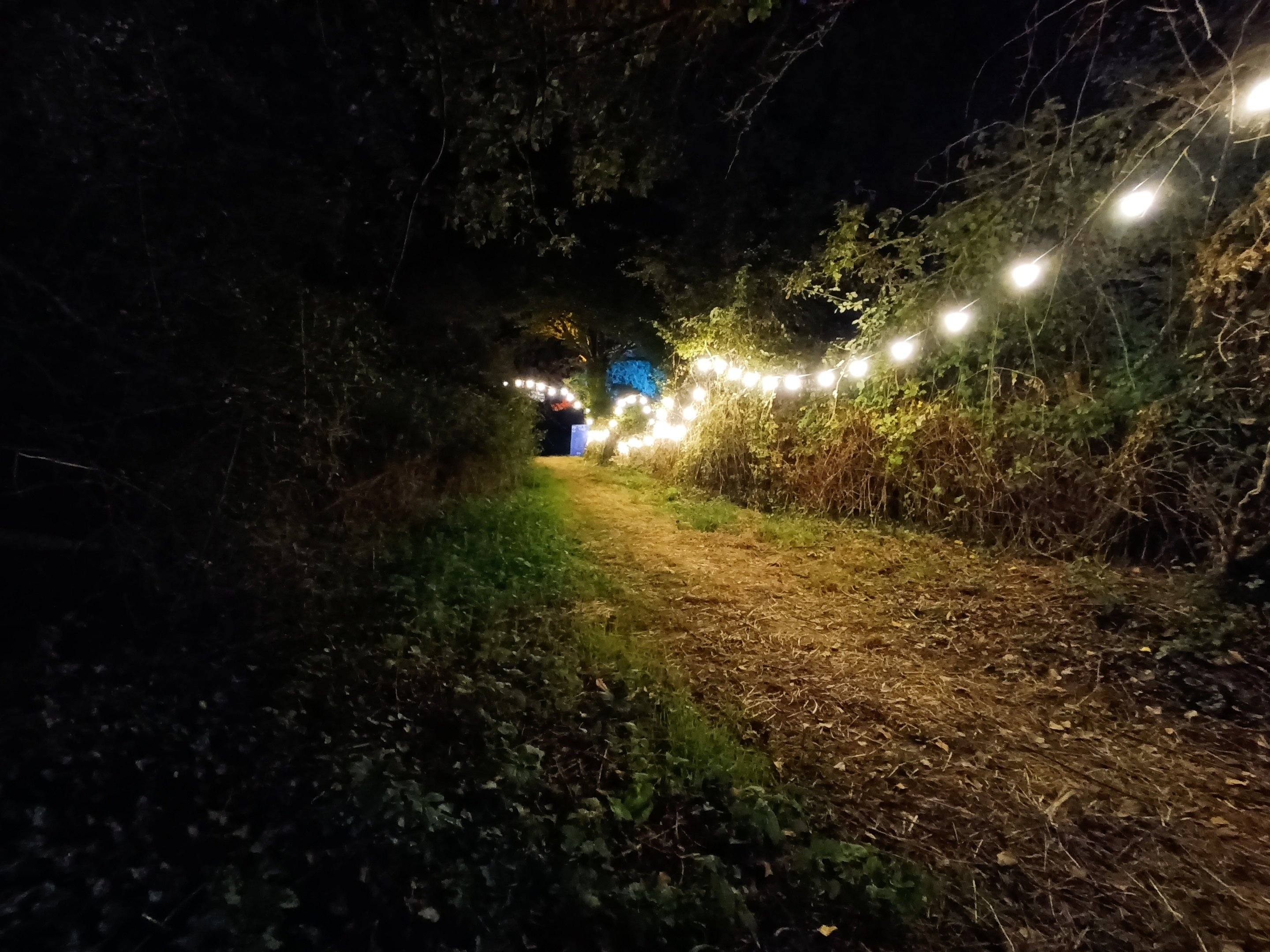Chemin extérieur balisé par une guirlande lumineuse pour guider les circulations